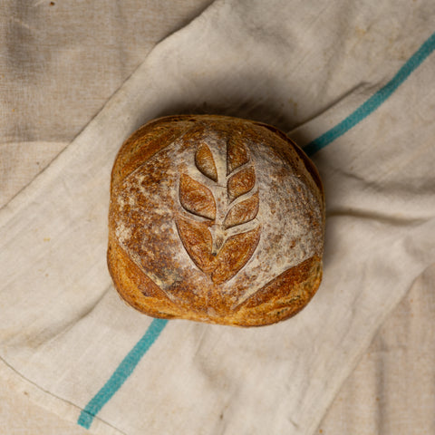 Whole-Wheat Sourdough Bread