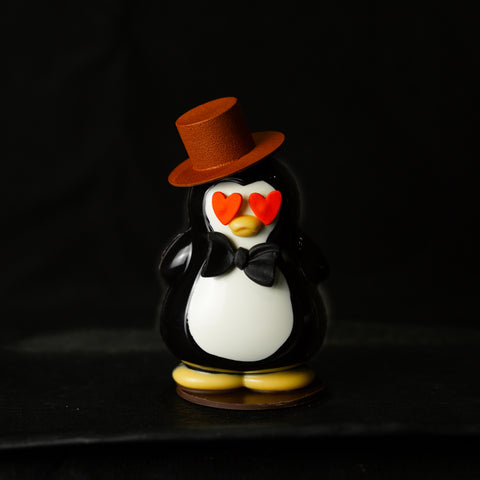 Mr Penguin in Love